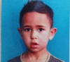 29 children have been martyred since the beginning of this year