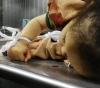 Gaza News Now: 4 martyrs due to continued Israeli shelling sector
