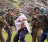 Settlers attack civilians in Nablus and Hebron