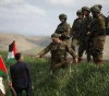 Occupation actively suppresses the participants to plant olive trees east of Tubas