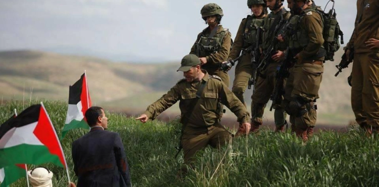 Occupation actively suppresses the participants to plant olive trees east of Tubas