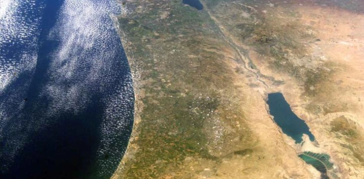 71 years after the decision to partition Palestine