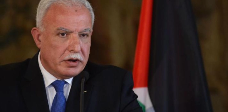 Al-Maliki: We foiled US attempts to remove Palestine from the Organization for the Prohibition of Chemical weapons