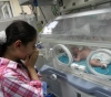 Gaza: 139 births per day during November