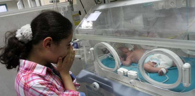 Gaza: 139 births per day during November