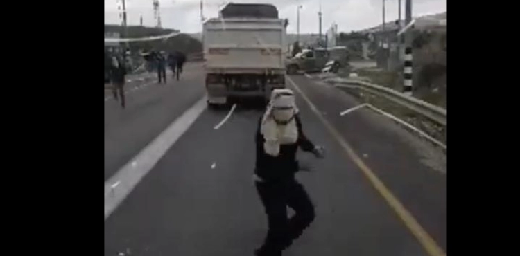Settlers assault citizens and vehicles in the West Bank