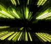 Biological viruses  &quot;key &quot; production of superfast supercomputers