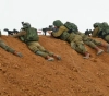 Gaza: Occupation targets fishermen and farmers