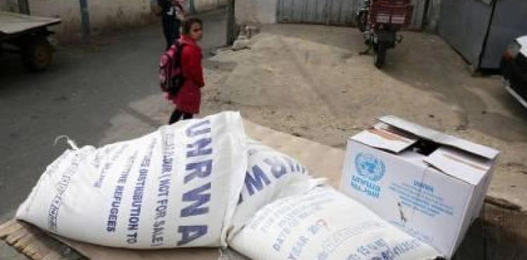 Italy makes multiple donations to &quot;UNRWA &quot; to promote health and food security in Gaza and the West Bank