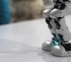 A &quot;robot&quot; with adhesive legs that can climb and walk on vertical surfaces