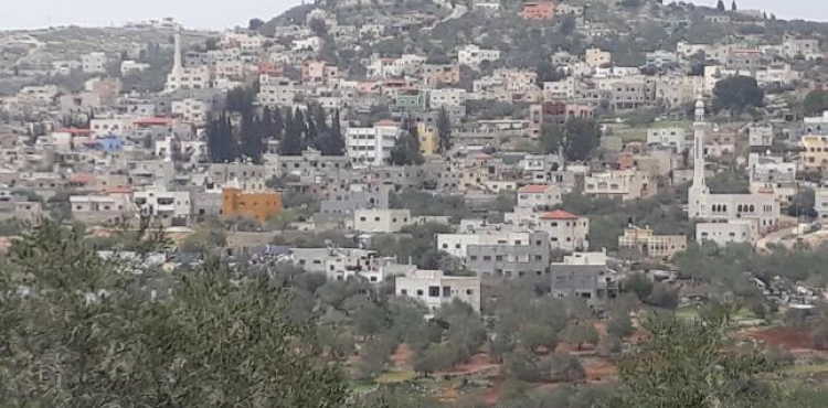 Occupation sweeps 70 dunums east of Qalqilya