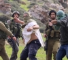 Settlers assault Palestinian vehicles near Nablus
