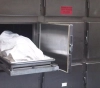 &quot;Dead&quot; are in the upcoming Indian elections