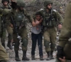 18 detainees in the West Bank and confiscation of weapons in Hebron