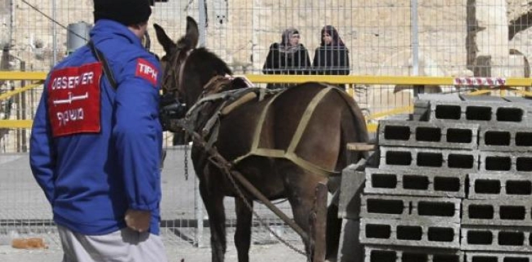 A Palestinian-European concern about Israel&acute;s refusal to renew the work of the international mission in Hebron