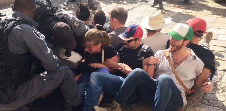 Foreign activists arrested in Hebron