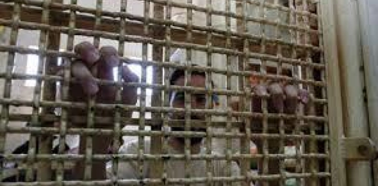 The prisoners&acute; body delivers harsh testimonies to the prisoners in Megiddo prison