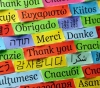 United Nations: 43% of the world&acute;s languages â€‹â€‹are threatened with extinction