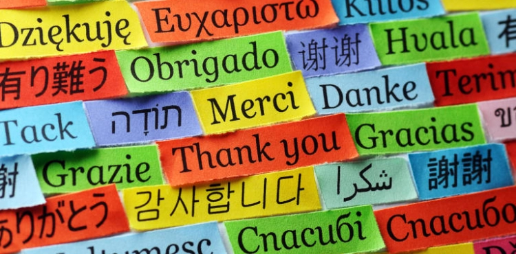 United Nations: 43% of the world&acute;s languages â€‹â€‹are threatened with extinction