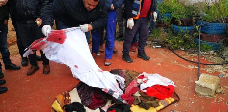 Two youths killed by Israeli occupation in Kafr Nehmeh