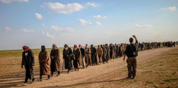 Human Rights Watch: The transfer of &quot;da&acute;ash&quot; elements from Syria to Iraq raises fears
