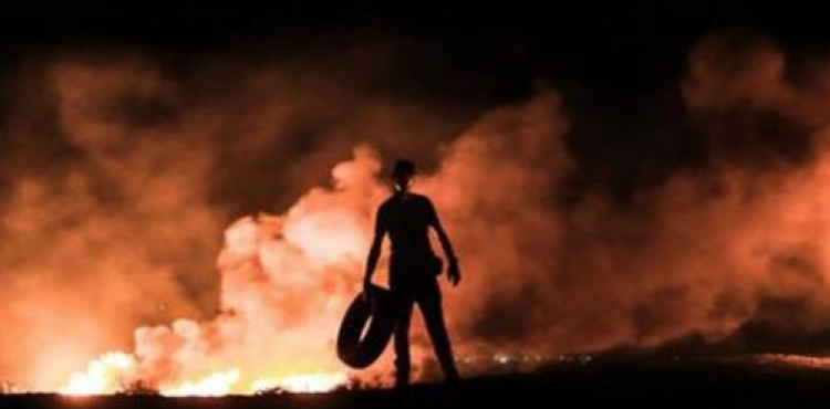 Gaza: 6 Wounded by Israeli occupation