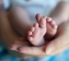 3403 were born in Gaza during February