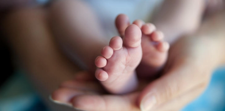 3403 were born in Gaza during February