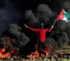 A martyr and dozens wounded by Israeli occupation east of Gaza