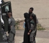 Occupation arrests a girl in Hebron