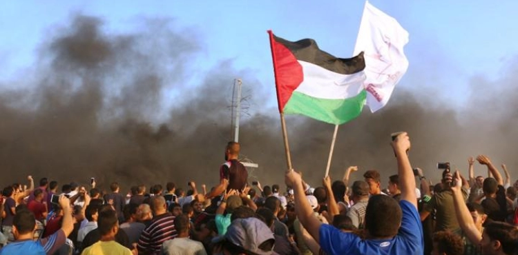 &quot;UNRWA&quot; issue a report on &quot;devastating effects&quot; of the Gaza Strip