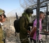 Israeli forces arrest 3 youths on Gaza border
