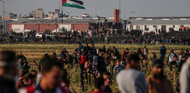 37 wounded east of Gaza .. including a medic and a journalist