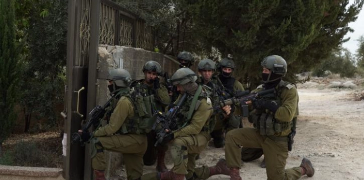 Occupation arrests 7 citizens and confiscates weapons and funds
