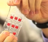 Electronic bandage to analyze human race