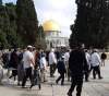 237 settlers cross into Al-Aqsa