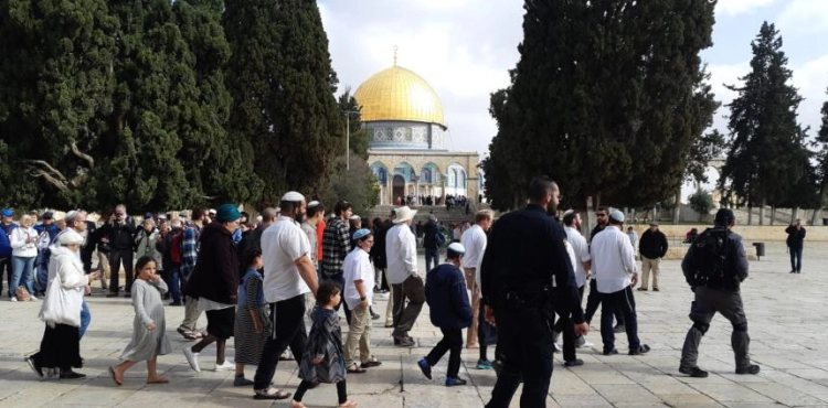 237 settlers cross into Al-Aqsa