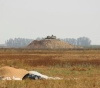 The occupation shoots at young men east of Khan Younis