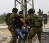 Updated Occupation arrests 20 citizens in the West