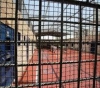 3 prisoners continue to hunger strike in protest against their administrative detention