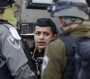 Updated Occupation arrests 14 citizens in the West Bank and Jerusalem