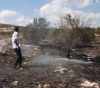 Settlers set fire to agricultural fields south of Nablus