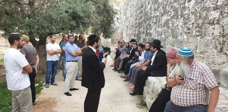 Settlers break into Al Aqsa