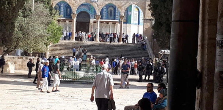 Settlers renew their incursion into the Aqsa Mosque