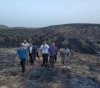 Settlers burn 1,000 olive trees south of Nablus