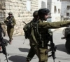 Occupation assaults a citizen and his son in Hebron