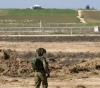 The occupation targets farmers and sheep herders on Gaza&acute;s borders