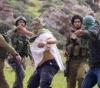 Confrontations and attacks on settlers south of Nablus
