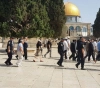 Forty-four settlers enter the Aqsa Mosque