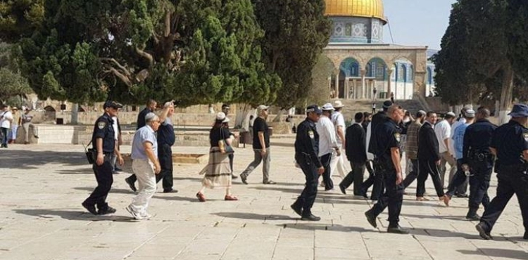 Forty-four settlers enter the Aqsa Mosque